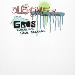 Alëxone Gros comme une maison