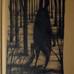 Il canto della foresta