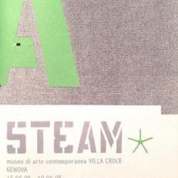 Steam