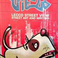 Street Views: Lecco street view, street art and writing